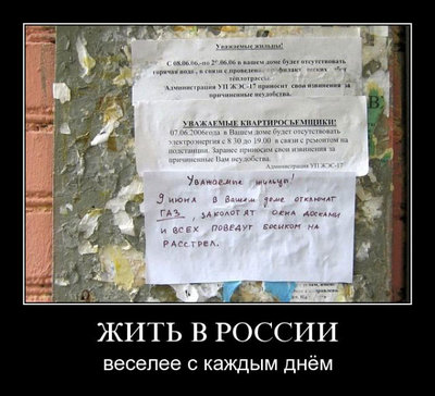 65.jpg