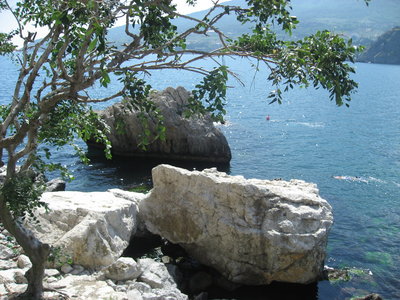 IMG_6361.JPG