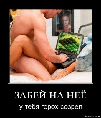 fb68393de8ed.jpg