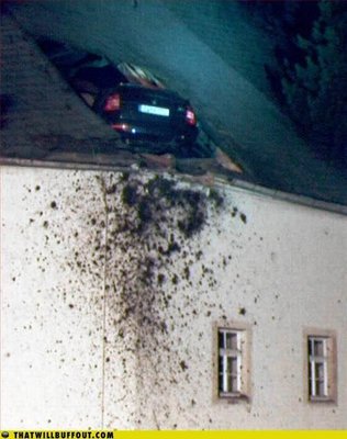 auto008.jpg